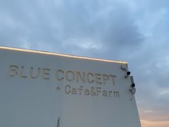 -Blue Concept Cafe&Farm·關於藍