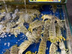 -东江海鲜酒家(艺都分店)