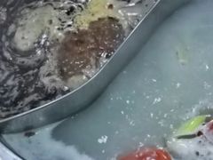 -红姐重庆火锅(曙光路店)