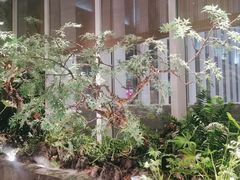 -海立阁海鲜江浙菜(漕河泾印象城店)