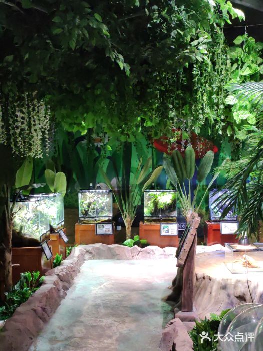 酷嗒动物文化乐园(cutezoo西溪乐天城店)图片