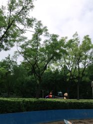 -酷酷兔少儿拓展天地