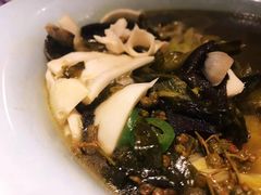 -猫头婴小酒馆FUN OWL(1912店)