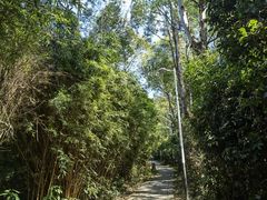 -水濂山森林公园