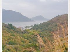 -大澳渔村及棚屋