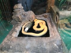 -上海大自然野生昆虫馆(东方明珠·爬宠昆虫探索中心)