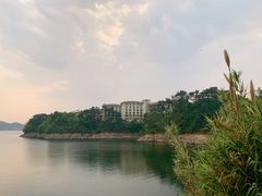 -几荷·恰似故人来(秀水广场店)