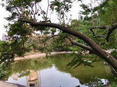 -深圳国际园林花卉博览园