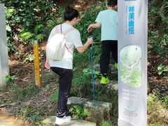 -火炉山森林公园