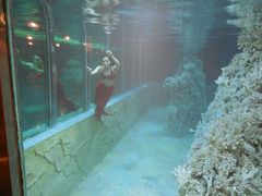 -肇庆奥威斯酒店