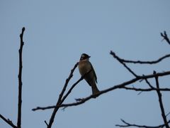 -苏州河梦清园环保主题公园