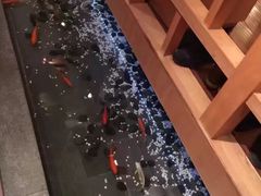 -松子料理(亮马桥店)