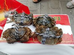 -乡乐园蟹庄·阳澄湖农家乐