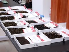 -广东轻工职业技术大学(新港校区)