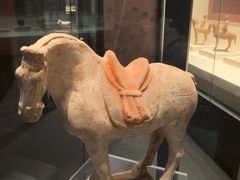 -隋唐大运河文化博物馆