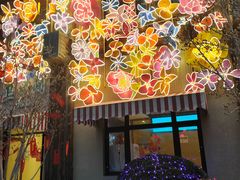 -南宫五洲植物乐园