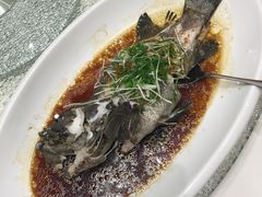 -頂好酒家·经典粤菜(海信广场店)
