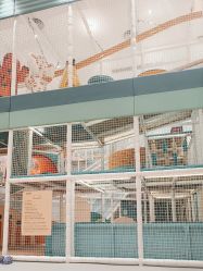 -奈尔宝家庭中心·亲子餐厅(鄞州万达店)