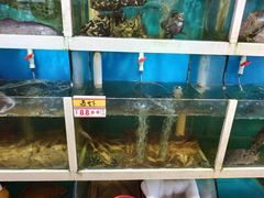 水产区-鑫悦楼煎蟹·16年海鲜大排档
