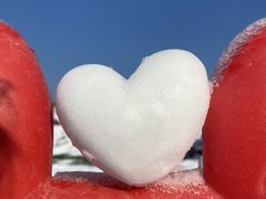 -北京鹿世界主题园