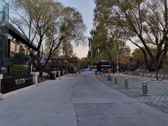 -枫花园汽车电影院(朝阳公园店)