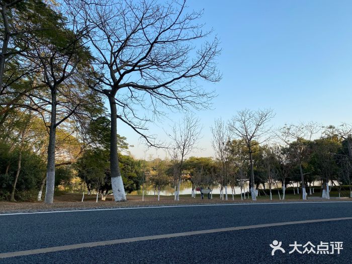 松山湖南湖湾露营营地图片