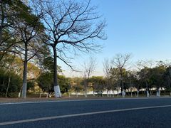 -松山湖南湖湾露营营地