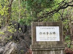 -白水寺森林公园