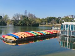 -新江湾城公园