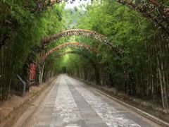 -蝴蝶泉公园