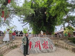 -大槐树寻根祭祖园