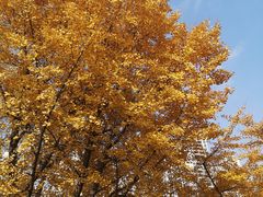 -苏州河梦清园环保主题公园