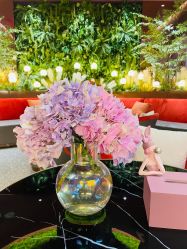 -花隐·美芙炫海菲秀皮肤管理中心