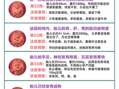-大班家政月嫂育儿嫂(总部店)