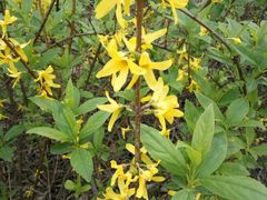 -祥源·阜阳生态乐园