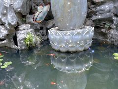 -上海醉白池公园