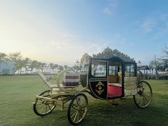 -玫瑰海岸文化旅游度假区