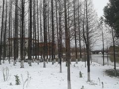 -南湖湿地公园