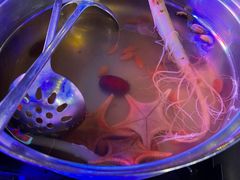 -千岛蚝高压锅生蚝·人参火锅(白云万达店)