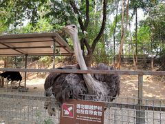 -东莞香市动物园