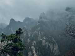 -王顺山国家森林公园
