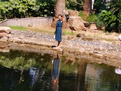 -苏州河梦清园环保主题公园