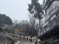 -灵岩山风景区