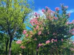 -白塘生态植物园