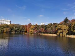 -井之头恩赐公园