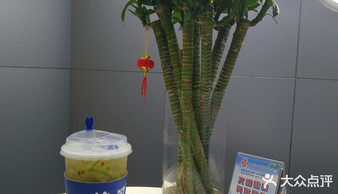 一口摇头 三口上头 椿风养身季