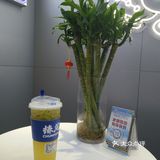 一口摇头 三口上头 椿风养身季