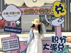 -中粮·祥云小镇