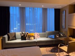 -上海静安洲际酒店