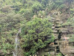 -黄腾峡生态旅游区